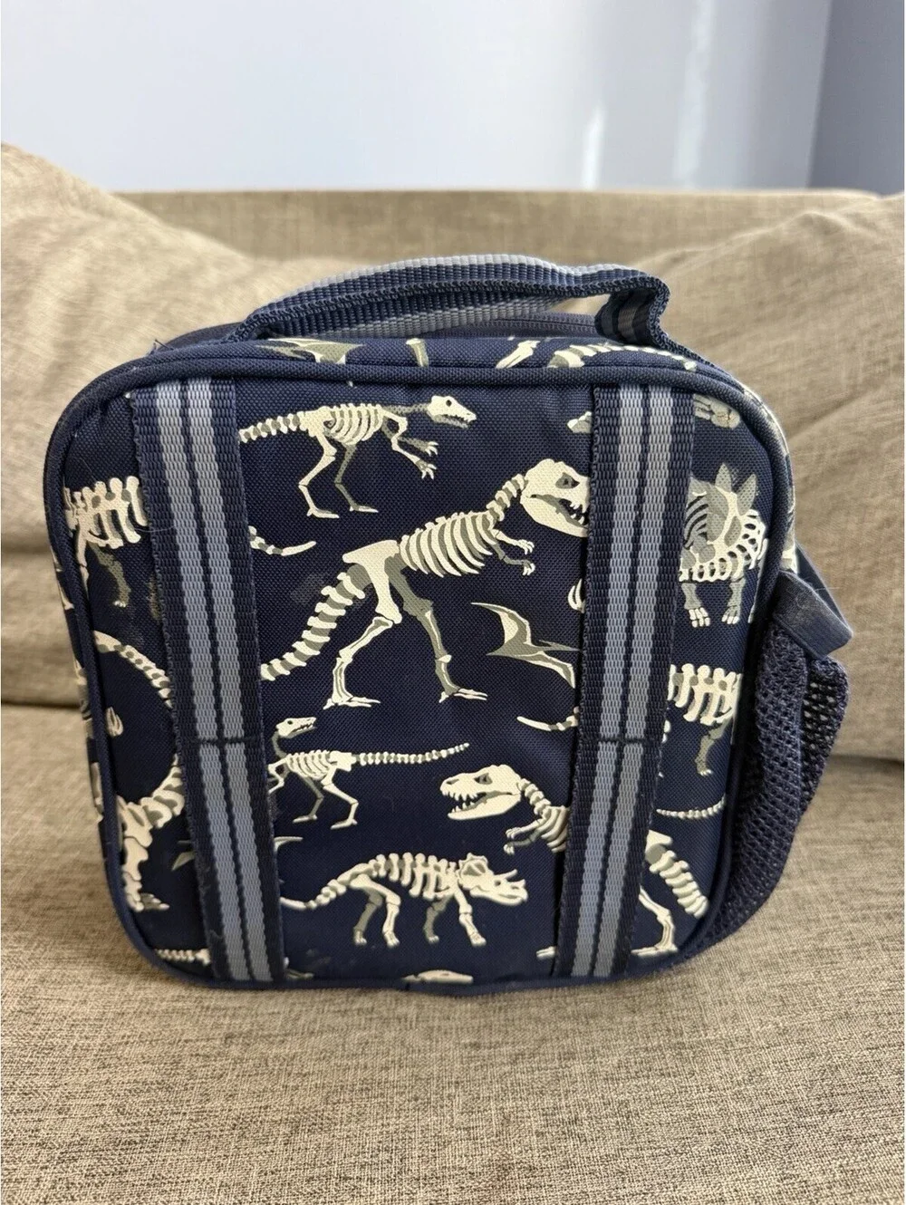 Pottery Barn Kids Mackenzie Glow In The Dark Dino Bones Lunch Box Dinosaurs